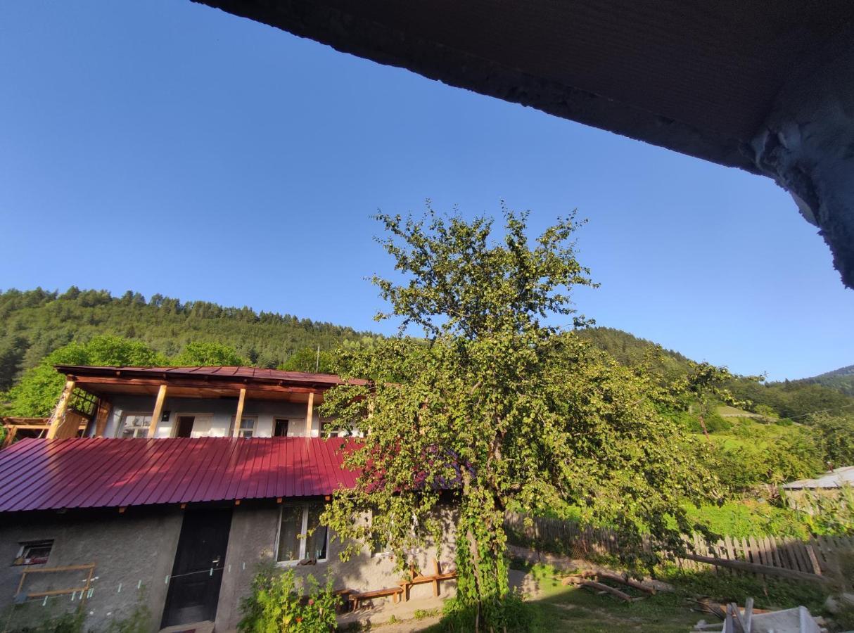 Ecohouse Svaneti Μέστια Εξωτερικό φωτογραφία
