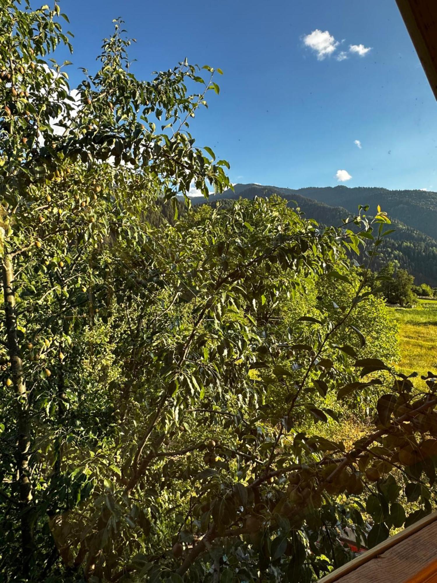 Ecohouse Svaneti Μέστια Εξωτερικό φωτογραφία