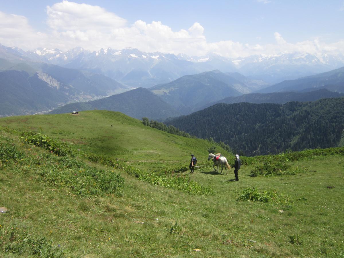 Ecohouse Svaneti Μέστια Εξωτερικό φωτογραφία