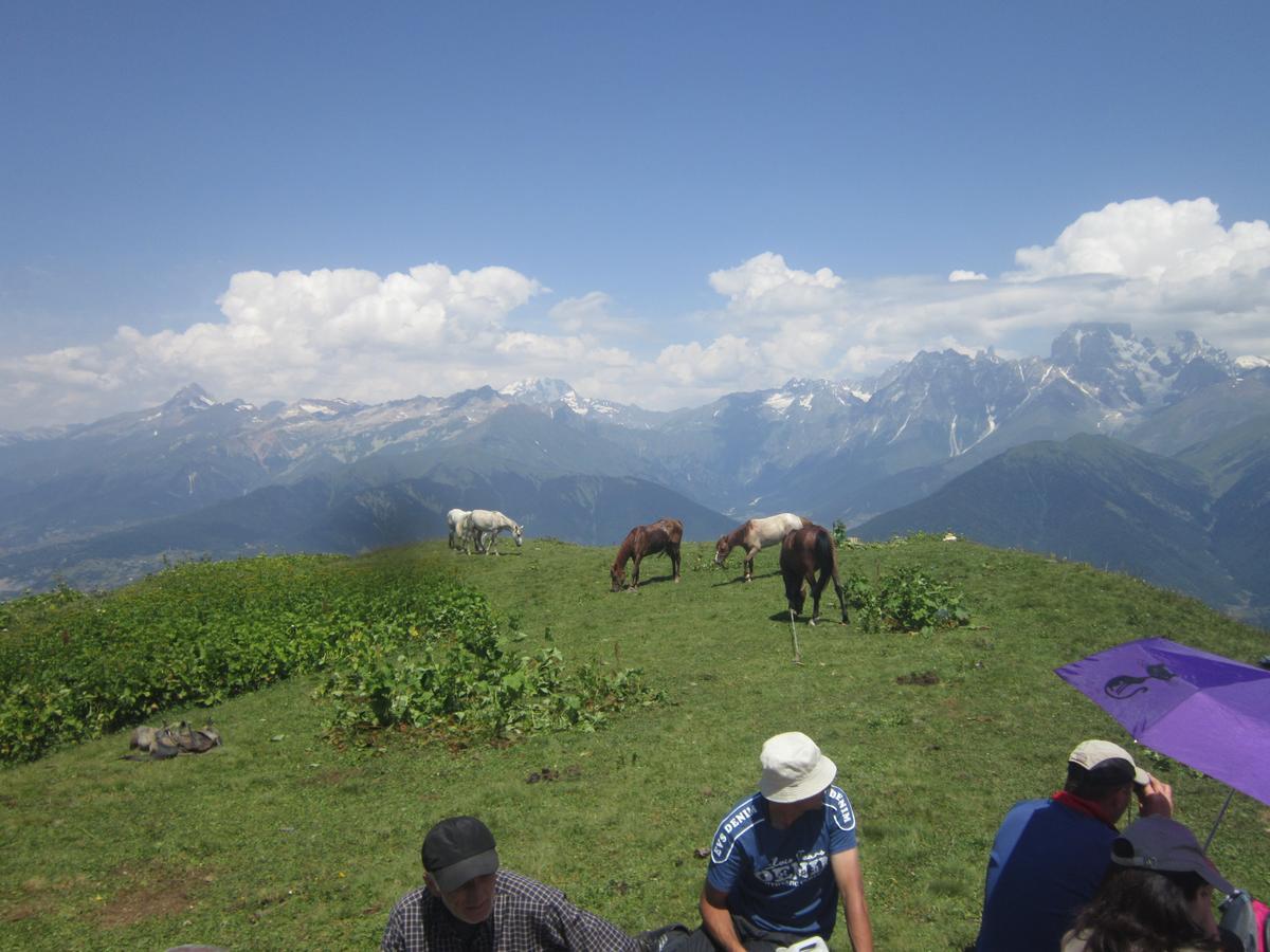 Ecohouse Svaneti Μέστια Εξωτερικό φωτογραφία
