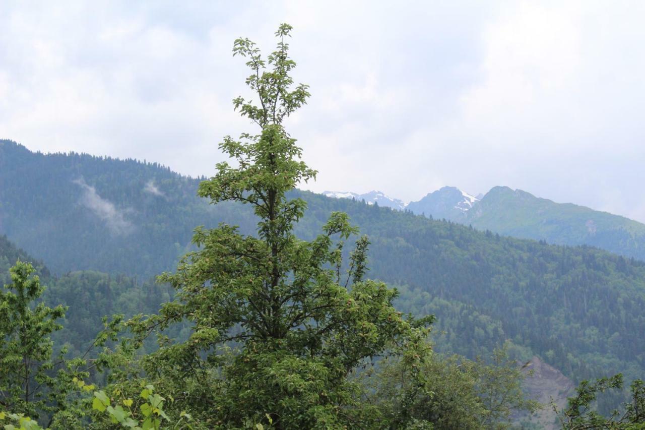 Ecohouse Svaneti Μέστια Εξωτερικό φωτογραφία